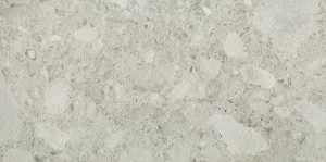 Timeless Ceppo Gris Textured Tile by null, a Outdoor Tiles & Pavers for sale on Style Sourcebook
