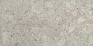 Timeless Ceppo Gris  Matt Tile by null, a Marble Look Tiles for sale on Style Sourcebook