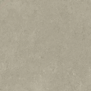 Valencia Beige Text Tile by null, a Outdoor Tiles & Pavers for sale on Style Sourcebook