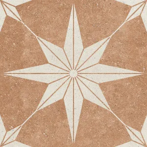 Florence Stone Star Cotto Textured Tile by null, a Outdoor Tiles & Pavers for sale on Style Sourcebook
