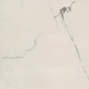 Timeless Calacatta White Polished Tile by null, a Marble Look Tiles for sale on Style Sourcebook