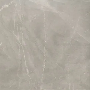 Timeless Amani Grey Polished Tile by null, a Marble Look Tiles for sale on Style Sourcebook