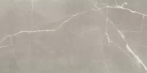 Timeless Amani Grey Polished Tile by null, a Marble Look Tiles for sale on Style Sourcebook