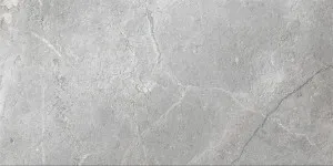 Eternal Silver Silk Tile by null, a Porcelain Tiles for sale on Style Sourcebook