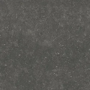 Florence Stone Black Text Tile by null, a Outdoor Tiles & Pavers for sale on Style Sourcebook
