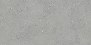 Rome Dark Grey Microtec Text Tile by null, a Outdoor Tiles & Pavers for sale on Style Sourcebook
