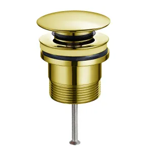 Misha Pop Up Waste 32mm Brushed Gold by null, a Traps & Wastes for sale on Style Sourcebook