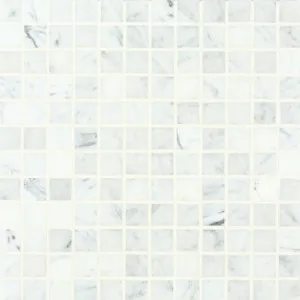 Carrara Polished Mosaic by null, a Brick Look Tiles for sale on Style Sourcebook
