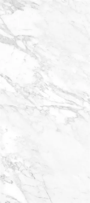 Spacious Arabascato White Matt Tile by null, a Porcelain Tiles for sale on Style Sourcebook