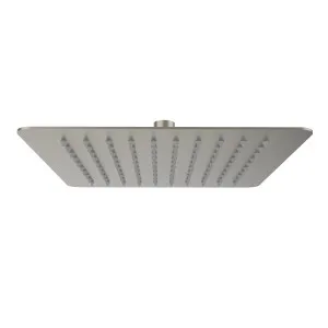 Lina Shower Head 250 Brush Nickel by null, a Laundry Taps for sale on Style Sourcebook