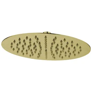 Misha Shower Head 250 Brush Gold by null, a Laundry Taps for sale on Style Sourcebook