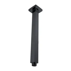 Platz Ceiling Shower Arm 300 Brushed Gun Metal by null, a Laundry Taps for sale on Style Sourcebook