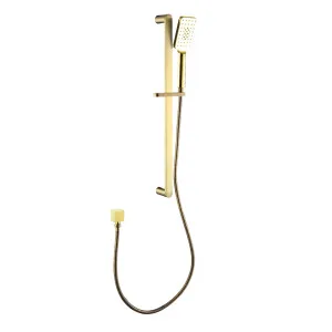 Lina Rail Shower Brush Gold by null, a Laundry Taps for sale on Style Sourcebook