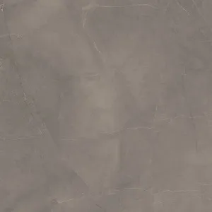 Pulpis Grey Matt Tile by null, a Marble Look Tiles for sale on Style Sourcebook