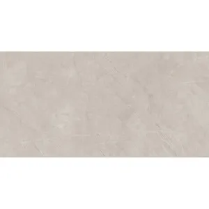 Pulpis Silver Matt Tile by null, a Marble Look Tiles for sale on Style Sourcebook