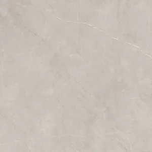Pulpis Silver Matt Tile by null, a Marble Look Tiles for sale on Style Sourcebook