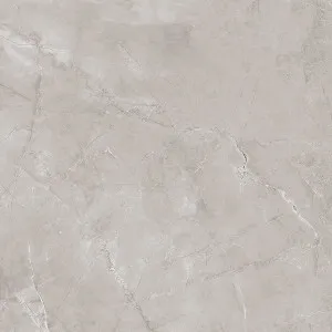 Ambience Artic Grey Polished Tile by null, a Marble Look Tiles for sale on Style Sourcebook