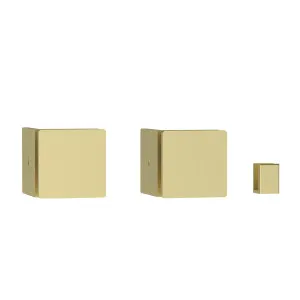 Misha Single Entry Shower Screen Fitting Kit Brushed Gold by null, a Shower Screens & Enclosures for sale on Style Sourcebook