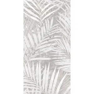 Nature Felci Grey Matt (Pkt 2) Tile by null, a Porcelain Tiles for sale on Style Sourcebook