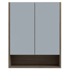 Sanremo Shaving Cabinet 600 Double Door Platinum Collection by null, a Shaving Cabinets for sale on Style Sourcebook