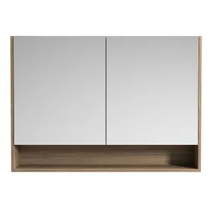 Sanremo Shaving Cabinet 1050 Double Door Platinum Collection by null, a Shaving Cabinets for sale on Style Sourcebook