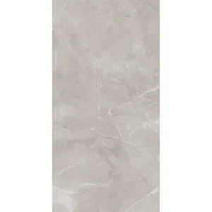 Ambience Artic Grey Polished Tile by null, a Marble Look Tiles for sale on Style Sourcebook