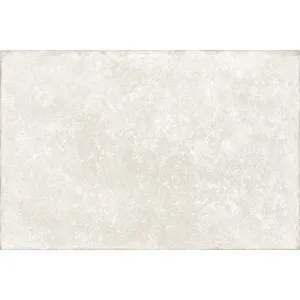Pierre Blanco Limestone Structured Textured Tile by null, a Porcelain Tiles for sale on Style Sourcebook