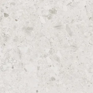 Lakeside Ceppo Shell Microtec Textured Tile by null, a Porcelain Tiles for sale on Style Sourcebook
