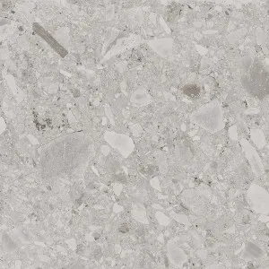 Lakeside Ceppo Grey Microtec Textured Tile by null, a Porcelain Tiles for sale on Style Sourcebook