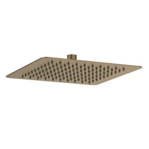 Lina Shower Head 250 Brushed Copper by null, a Laundry Taps for sale on Style Sourcebook