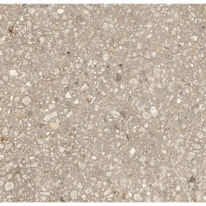 MatchUp Cookie Mix Textured Tile by null, a Terrazzo Look Tiles for sale on Style Sourcebook