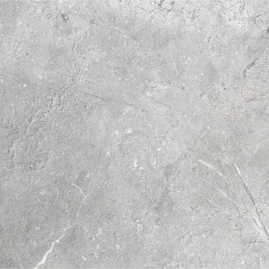 Eternal Silver Microtec Textured Tile by null, a Porcelain Tiles for sale on Style Sourcebook