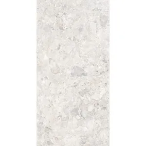 Monet Ceppo Shell Matt Tile by null, a Terrazzo Look Tiles for sale on Style Sourcebook