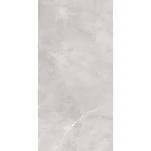 Quantum Silver Matt Tile by null, a Marble Look Tiles for sale on Style Sourcebook