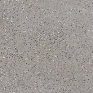 Promenado Charcoal Extra Textured Tile by null, a Outdoor Tiles & Pavers for sale on Style Sourcebook