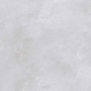Quantum Silver Matt Tile by null, a Marble Look Tiles for sale on Style Sourcebook