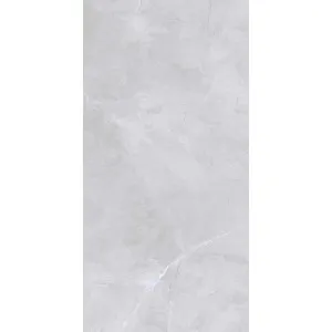 Quantum Silver Polished Tile by null, a Marble Look Tiles for sale on Style Sourcebook