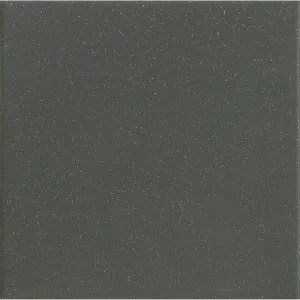 Tek Black Speckle Extra Textured Tile by null, a Porcelain Tiles for sale on Style Sourcebook