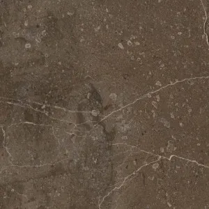 Terrane Marble Brown HiLite Textured Tile by null, a Outdoor Tiles & Pavers for sale on Style Sourcebook