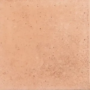 Raku Nude Structured Matt by null, a Porcelain Tiles for sale on Style Sourcebook