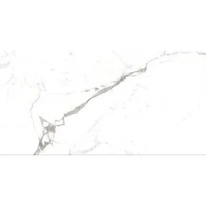 Ambience Calacatta White Matt Tile by null, a Marble Look Tiles for sale on Style Sourcebook