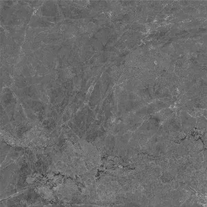 Tundra Charcoal HiLite Silk Tile by null, a Porcelain Tiles for sale on Style Sourcebook