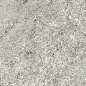 Plimatech02 Grey Textured Tile by null, a Porcelain Tiles for sale on Style Sourcebook