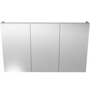 Tennessee Shaving Cabinet 1200 Three Door Gold Collection by null, a Shaving Cabinets for sale on Style Sourcebook