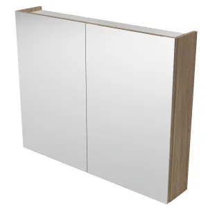 Tennessee Shaving Cabinet 900 Double Door Gold Collection by null, a Shaving Cabinets for sale on Style Sourcebook