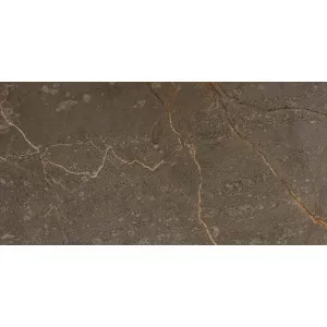 Terrane Marble Brown HiLite Textured Tile by null, a Outdoor Tiles & Pavers for sale on Style Sourcebook