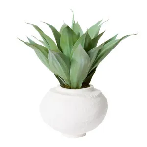 Agave Nomusa Paper Mache Vessel - 55cm x 55cm x 55cm by null, a Plant Holders for sale on Style Sourcebook