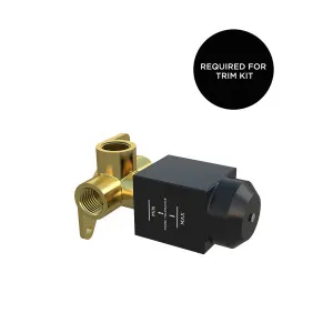 Meir Wall/Shower Mixer Inwall Body by null, a Laundry Taps for sale on Style Sourcebook