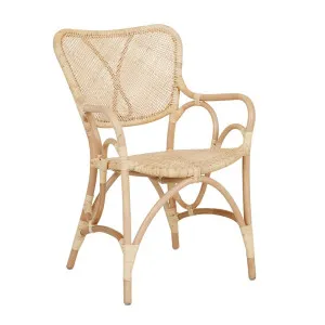 Luella Dining Armchair - Natural Rattan by null, a Chairs for sale on Style Sourcebook