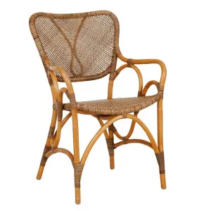Luella Dining Armchair - Hazelnut by null, a Chairs for sale on Style Sourcebook